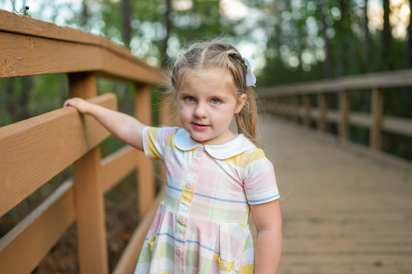 EXTRAS (2025 Easter Dresses) Plaid Peter Pan Dress