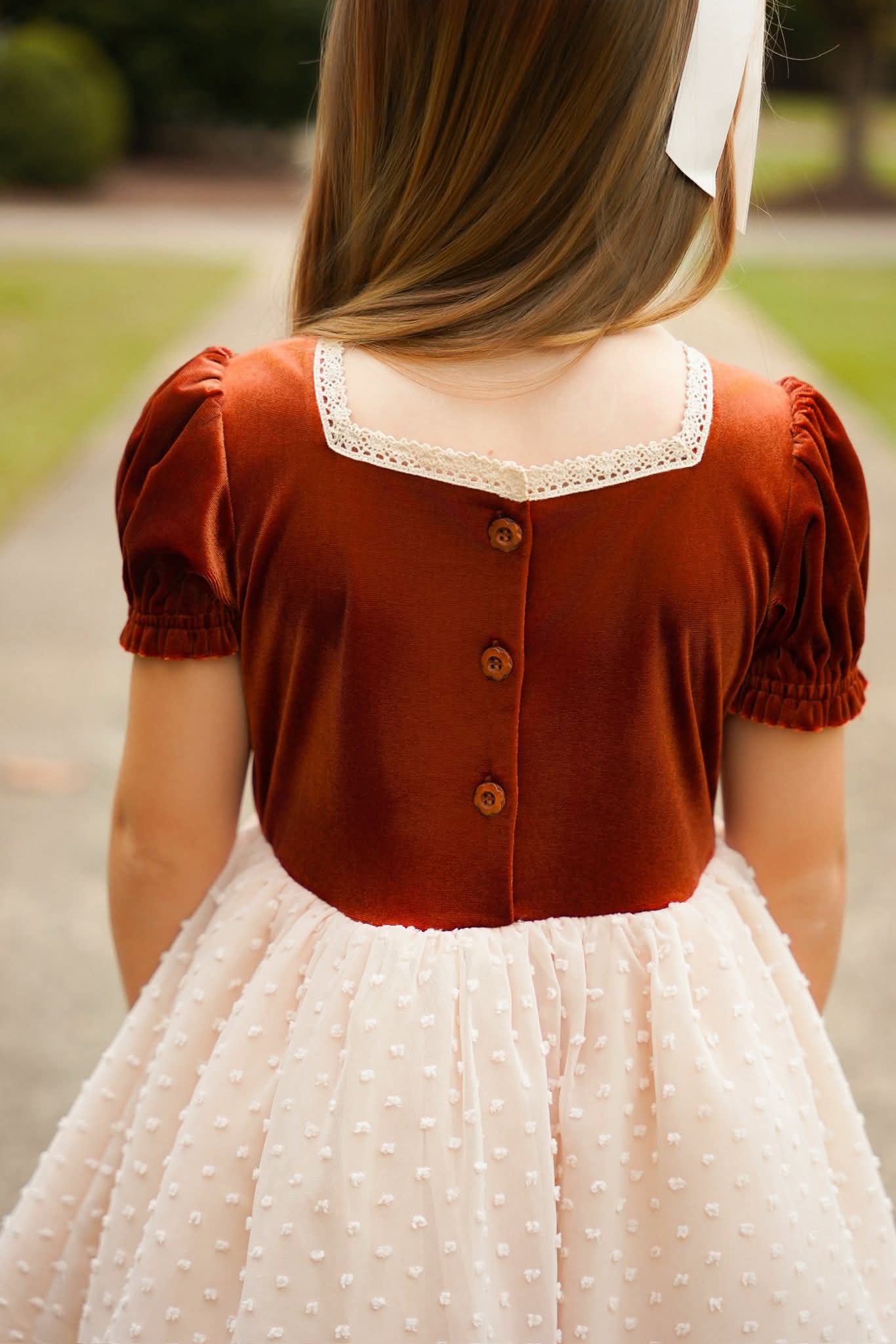(2026 Fall Collection) Velvet Swiss Dot Dress