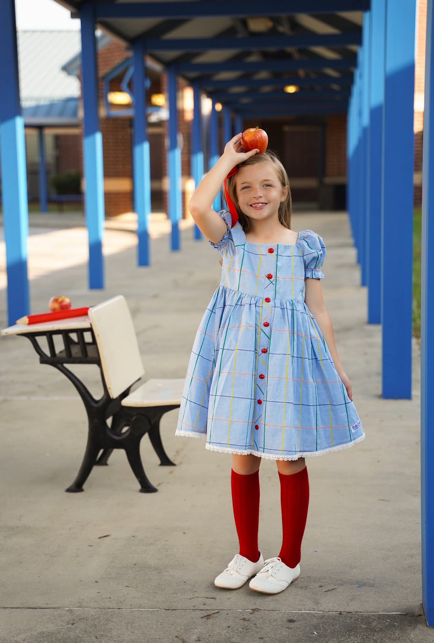 Extras (2026 Fresh Start Fits) Blue Plaid Dress