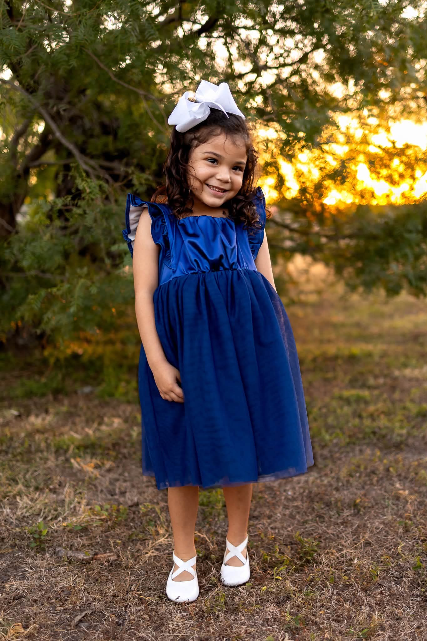 (2026 Holiday Dress Edit) Blue Dreams