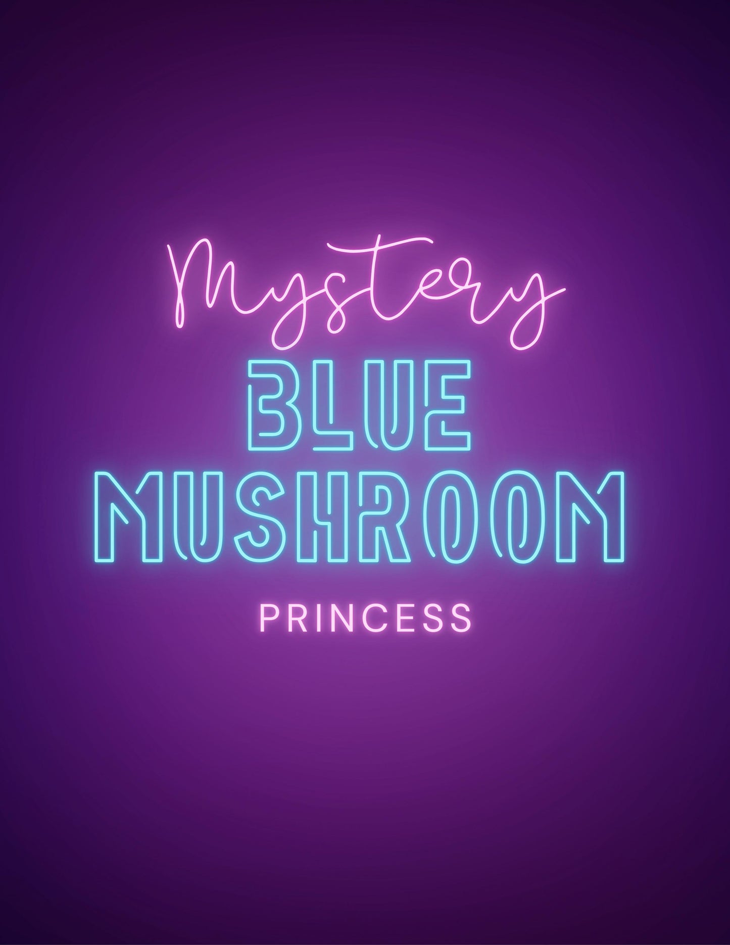 Extras (CYBER MONDAY 2025) Mystery Blue Mushroom Princess